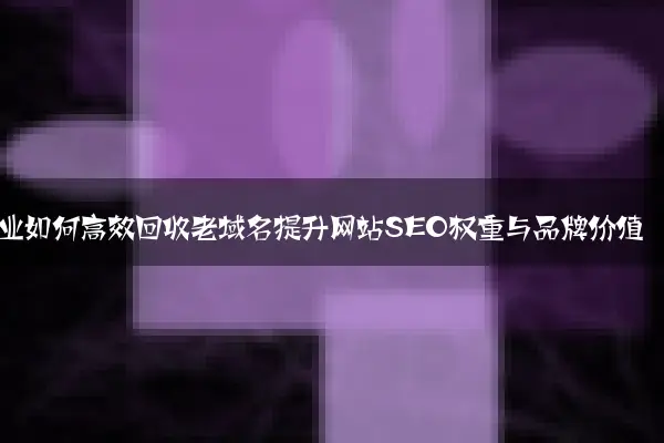 企业如何高效回收老域名提升网站SEO权重与品牌价值