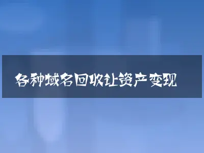 各种域名回收让资产变现