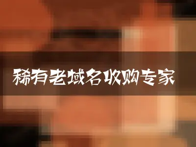 稀有老域名收购专家
