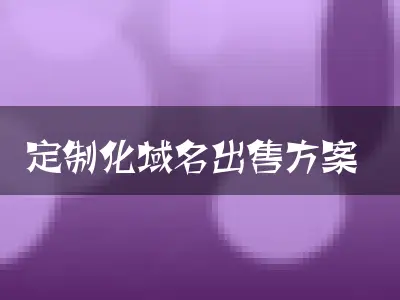 定制化域名出售方案